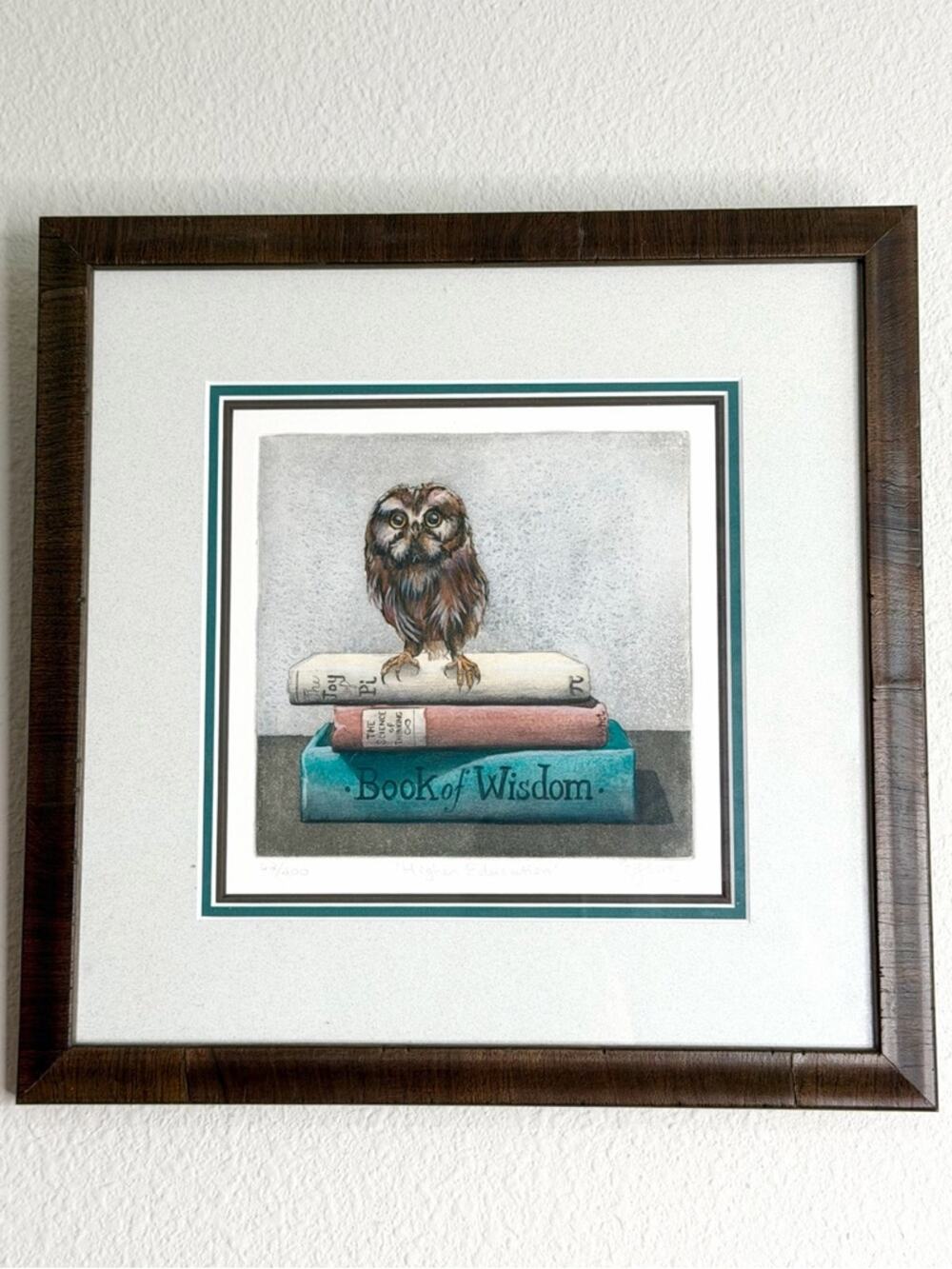 Limited edition "Higher Education" Owl Print by artist Eileen Sorg 12x12